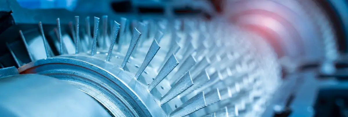 shutterstock_1667071789