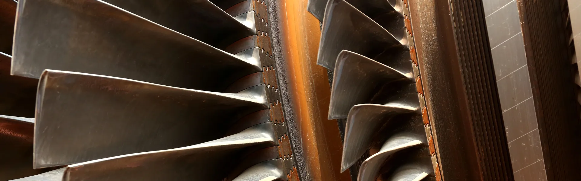 shutterstock_273392810