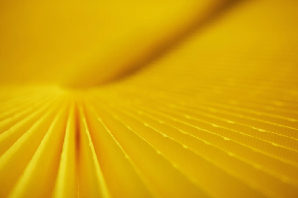 shutterstock_414439129